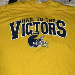 Vintage Delta Proweights Hail to the Victors Michigan Wolverine’s T-shirt